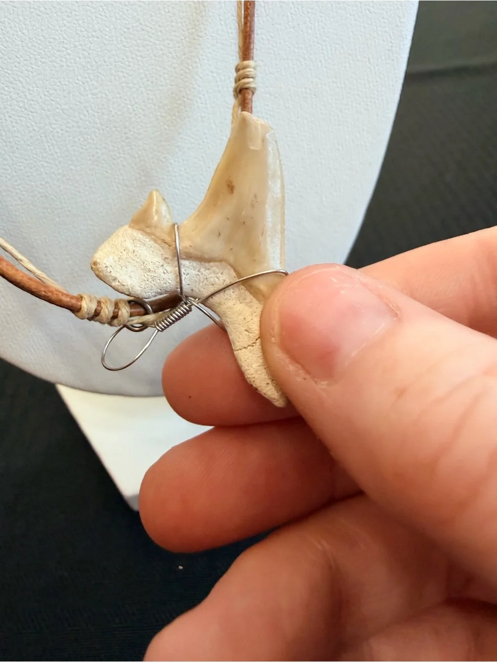 Otodus Shark tooth necklace NWOT
